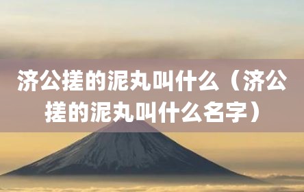 济公搓的泥丸叫什么（济公搓的泥丸叫什么名字）