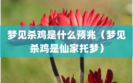 梦见杀鸡是什么预兆（梦见杀鸡是仙家托梦）