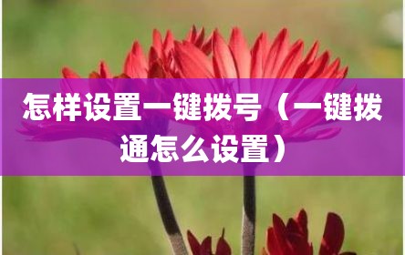 怎样设置一键拨号（一键拨通怎么设置）