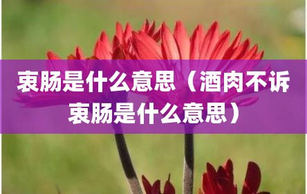 衷肠是什么意思（酒肉不诉衷肠是什么意思）