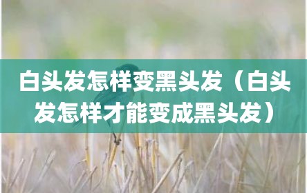 白头发怎样变黑头发（白头发怎样才能变成黑头发）