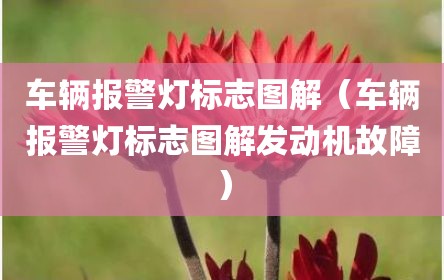 车辆报警灯标志图解（车辆报警灯标志图解发动机故障）