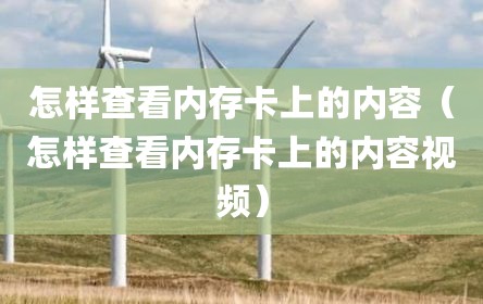 怎样查看内存卡上的内容（怎样查看内存卡上的内容视频）
