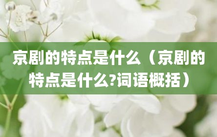京剧的特点是什么（京剧的特点是什么?词语概括）