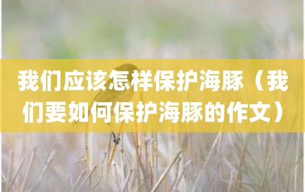 我们应该怎样保护海豚（我们要如何保护海豚的作文）