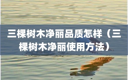 三棵树木净丽品质怎样（三棵树木净丽使用方法）
