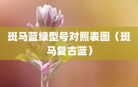斑马蓝绿型号对照表图（斑马复古蓝）
