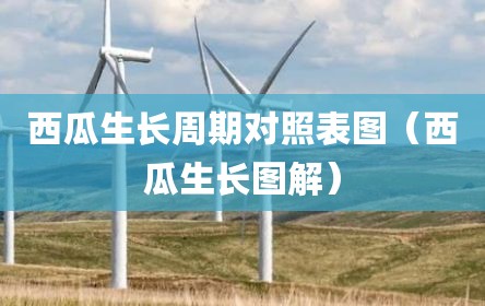 西瓜生长周期对照表图（西瓜生长图解）