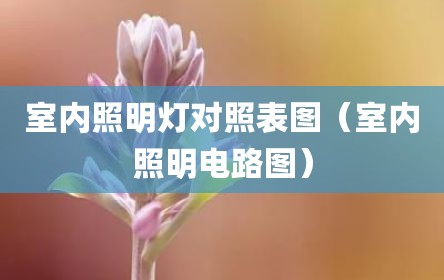 室内照明灯对照表图（室内照明电路图）