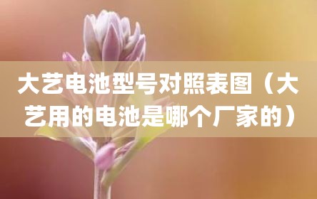 大艺电池型号对照表图（大艺用的电池是哪个厂家的）