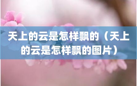 天上的云是怎样飘的（天上的云是怎样飘的图片）