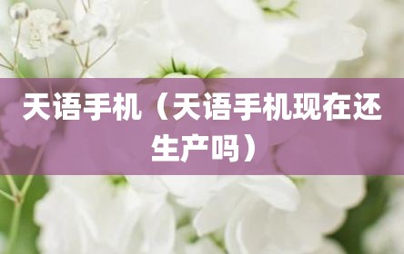 天语手机（天语手机现在还生产吗）