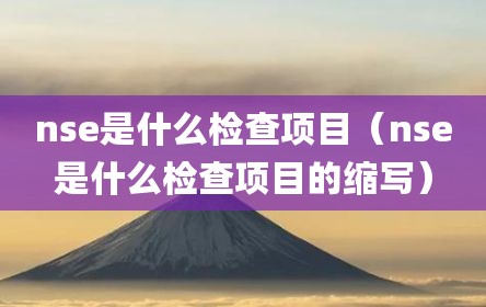 nse是什么检查项目（nse是什么检查项目的缩写）