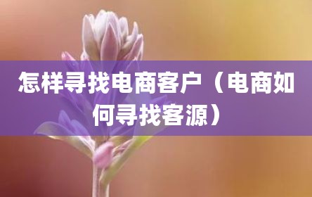 怎样寻找电商客户（电商如何寻找客源）
