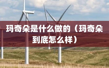 玛奇朵是什么做的（玛奇朵到底怎么样）