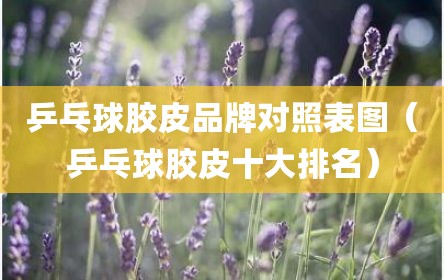 乒乓球胶皮品牌对照表图（乒乓球胶皮十大排名）