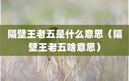 隔壁王老五是什么意思（隔壁王老五啥意思）