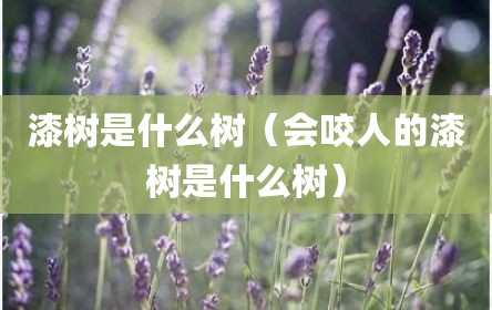 漆树是什么树（会咬人的漆树是什么树）