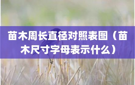 苗木周长直径对照表图（苗木尺寸字母表示什么）