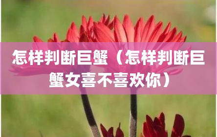 怎样判断巨蟹（怎样判断巨蟹女喜不喜欢你）