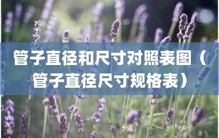 管子直径和尺寸对照表图（管子直径尺寸规格表）