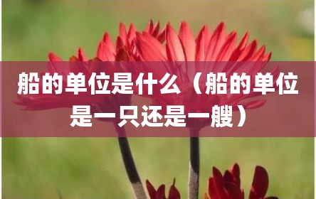 船的单位是什么（船的单位是一只还是一艘）