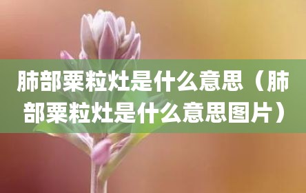 肺部粟粒灶是什么意思（肺部粟粒灶是什么意思图片）