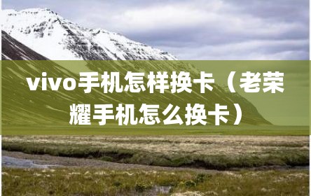 vivo手机怎样换卡（老荣耀手机怎么换卡）