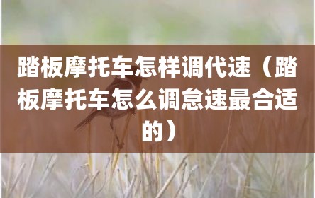 踏板摩托车怎样调代速（踏板摩托车怎么调怠速最合适的）