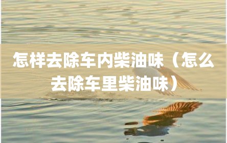 怎样去除车内柴油味（怎么去除车里柴油味）
