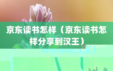 京东读书怎样（京东读书怎样分享到汉王）