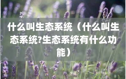 什么叫生态系统（什么叫生态系统?生态系统有什么功能）