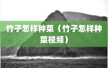 竹子怎样种菜（竹子怎样种菜视频）