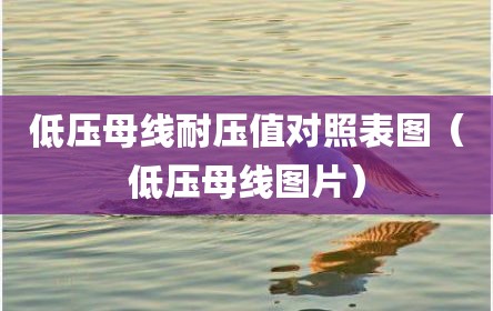 低压母线耐压值对照表图（低压母线图片）