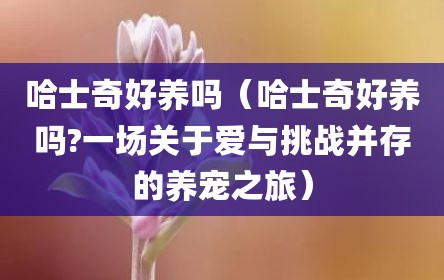 哈士奇好养吗（哈士奇好养吗?一场关于爱与挑战并存的养宠之旅）