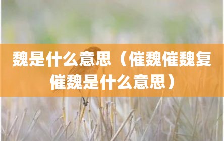 魏是什么意思（催魏催魏复催魏是什么意思）