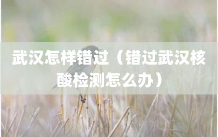 武汉怎样错过（错过武汉核酸检测怎么办）