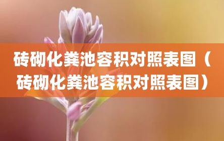 砖砌化粪池容积对照表图（砖砌化粪池容积对照表图）