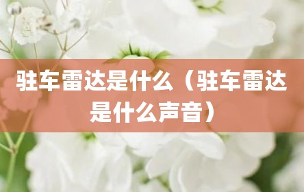 驻车雷达是什么（驻车雷达是什么声音）