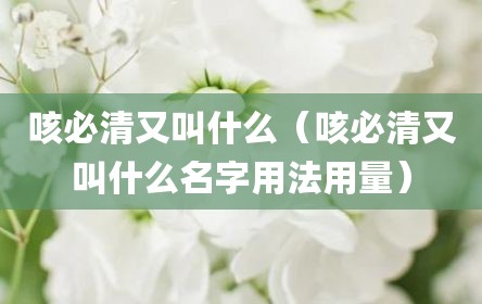 咳必清又叫什么（咳必清又叫什么名字用法用量）
