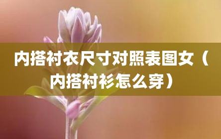 内搭衬衣尺寸对照表图女（内搭衬衫怎么穿）