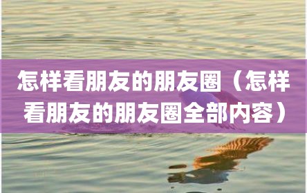 怎样看朋友的朋友圈（怎样看朋友的朋友圈全部内容）