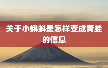 关于小蝌蚪是怎样变成青蛙的信息