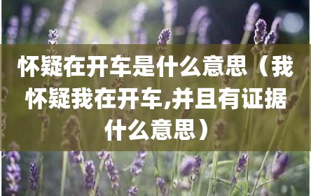 怀疑在开车是什么意思（我怀疑我在开车,并且有证据什么意思）