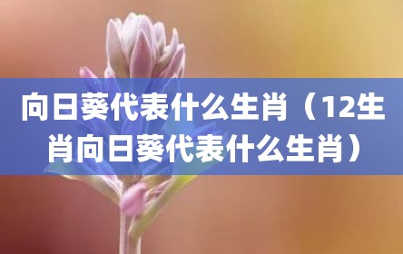 向日葵代表什么生肖（12生肖向日葵代表什么生肖）