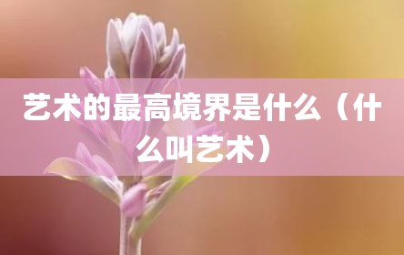 艺术的最高境界是什么（什么叫艺术）