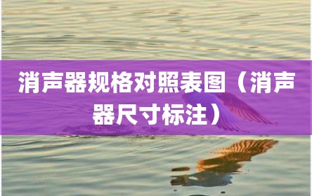 消声器规格对照表图（消声器尺寸标注）