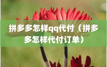 拼多多怎样qq代付（拼多多怎样代付订单）