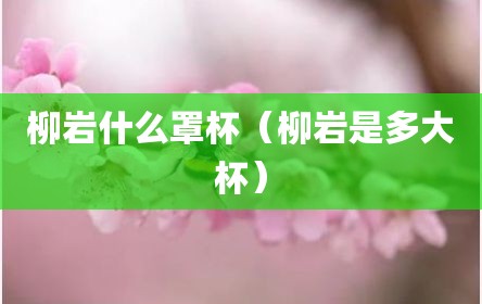 柳岩什么罩杯（柳岩是多大杯）