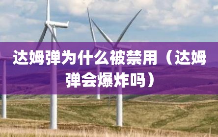 达姆弹为什么被禁用（达姆弹会爆炸吗）